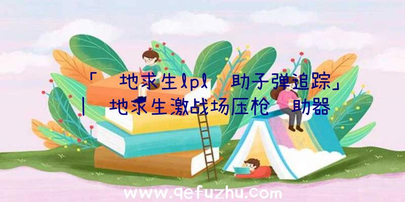 「绝地求生lpl辅助子弹追踪」|绝地求生激战场压枪辅助器